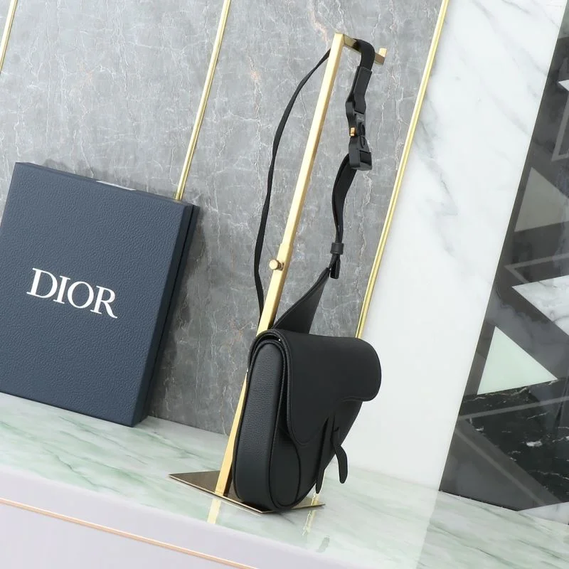 Christian Dior Saddle bags Modern 46423