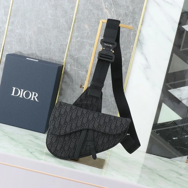 Christian Dior Saddle bags TechFriendly 46351