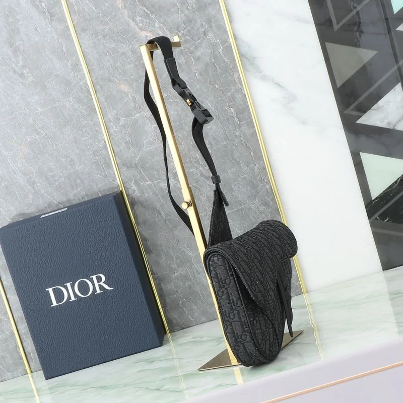 Christian Dior Saddle bags TechFriendly 46351