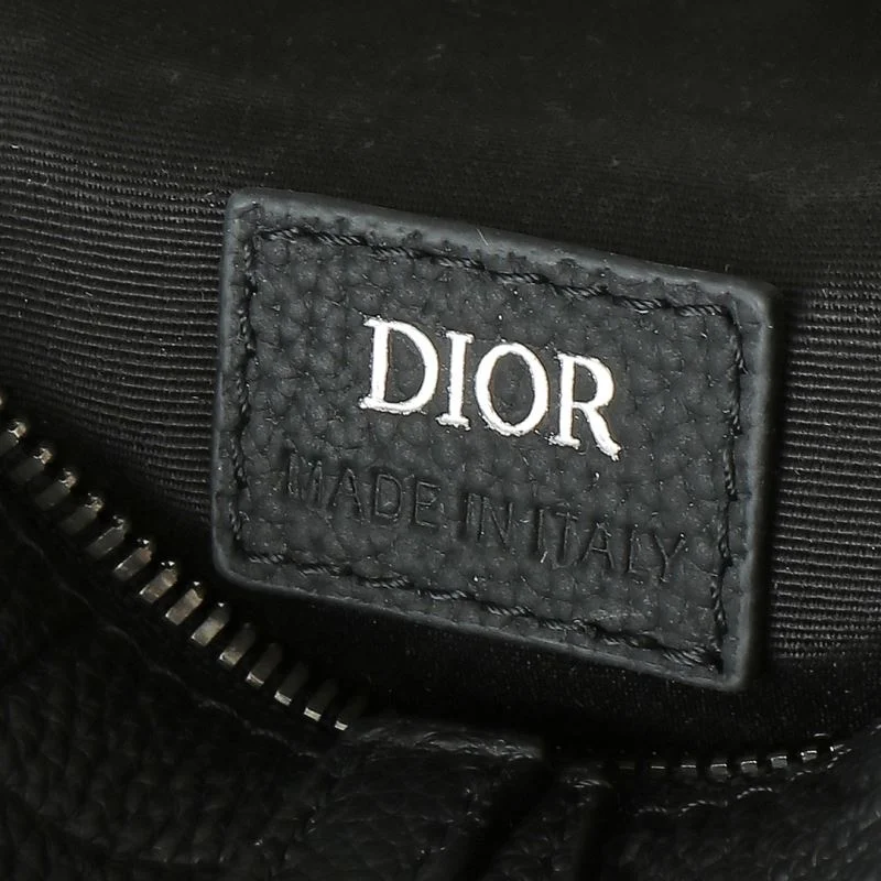 Christian Dior Saddle bags HighPerformance 46342