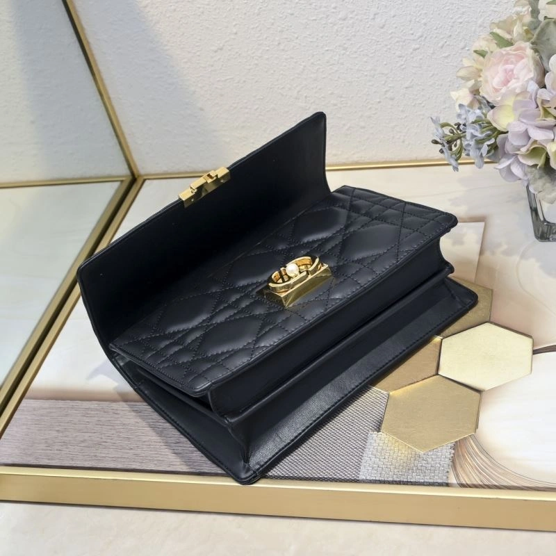 Christian Dior Satchel Bags Attractive 87766