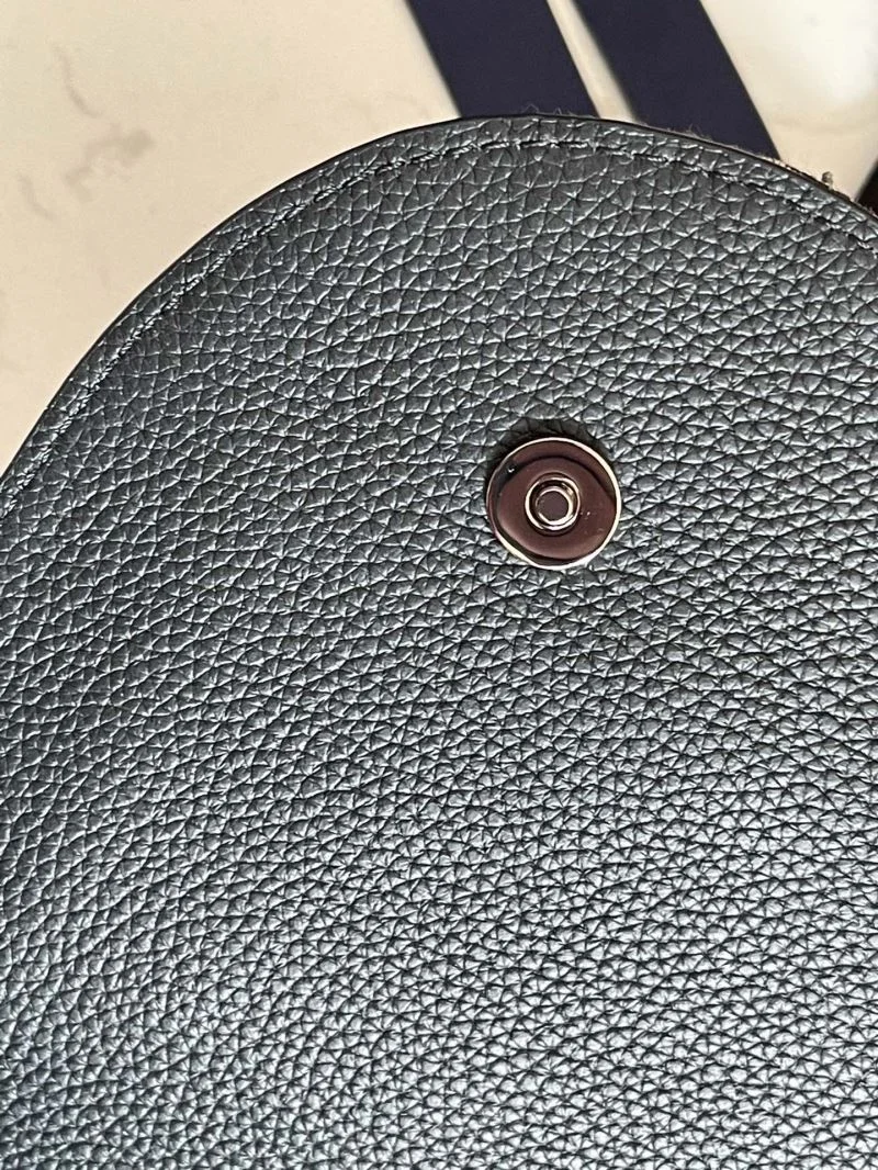Christian Dior Satchel Bags Elegant 47182