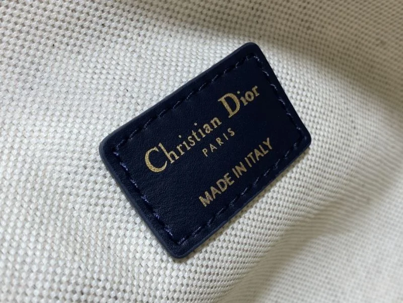 Christian Dior Satchel Bags EyeCatching 47119