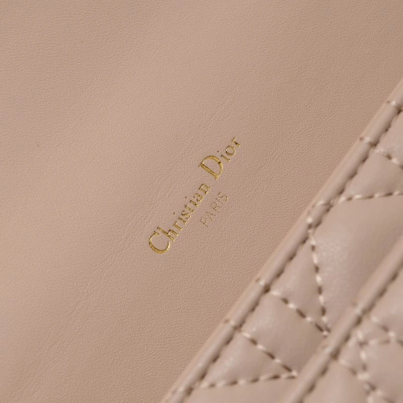 Christian Dior Satchel Bags SmoothTexture 85546
