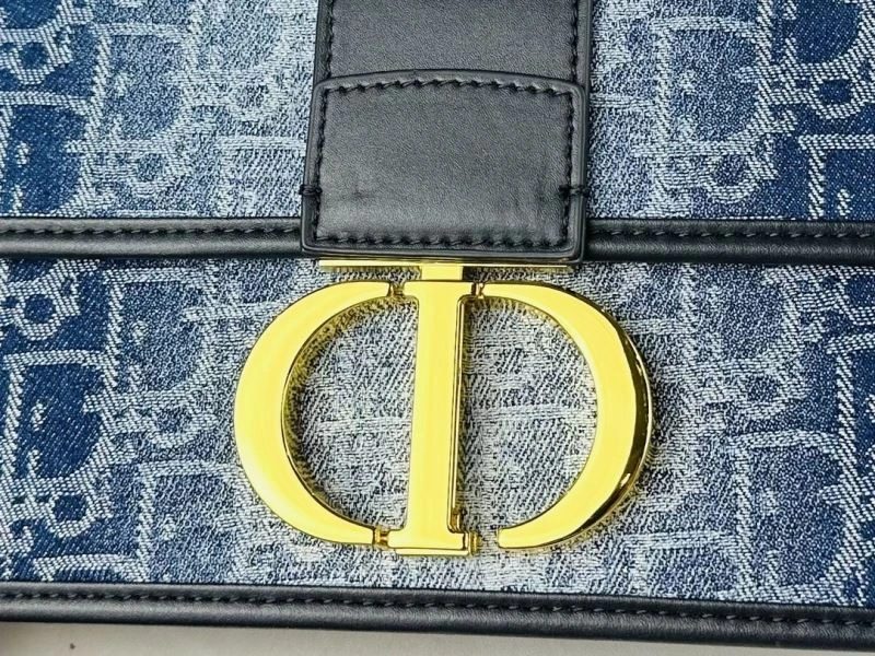 Christian Dior Satchel Bags SunProtective 86197