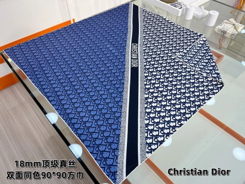 Sleek Christian Dior Scarf 271150