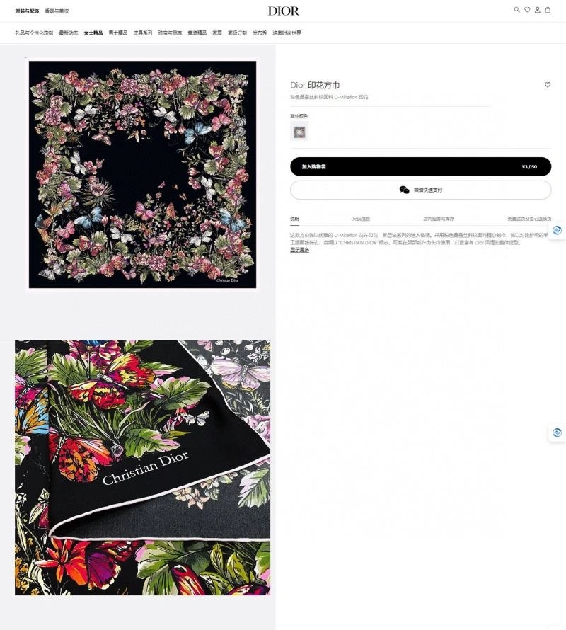 Christian Dior Scarf WellDesigned 271131