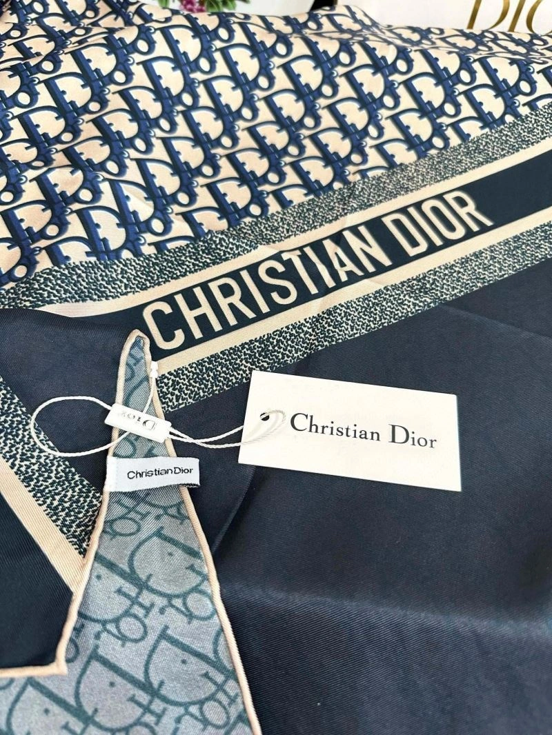 Christian Dior Scarf Practical 271141