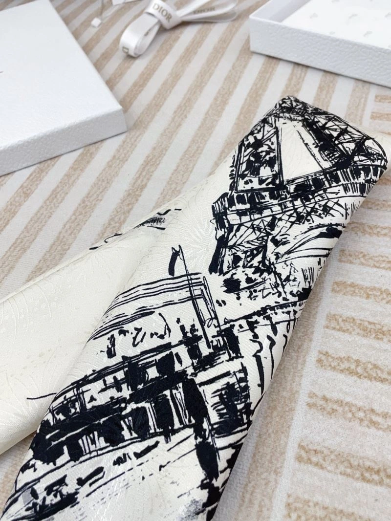 Supportive Christian Dior Scarf 271139