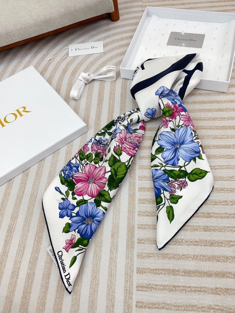 Christian Dior Scarf StreetReady 271122