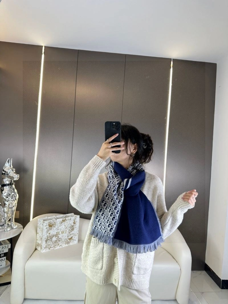 Christian Dior Scarf Durable 271120