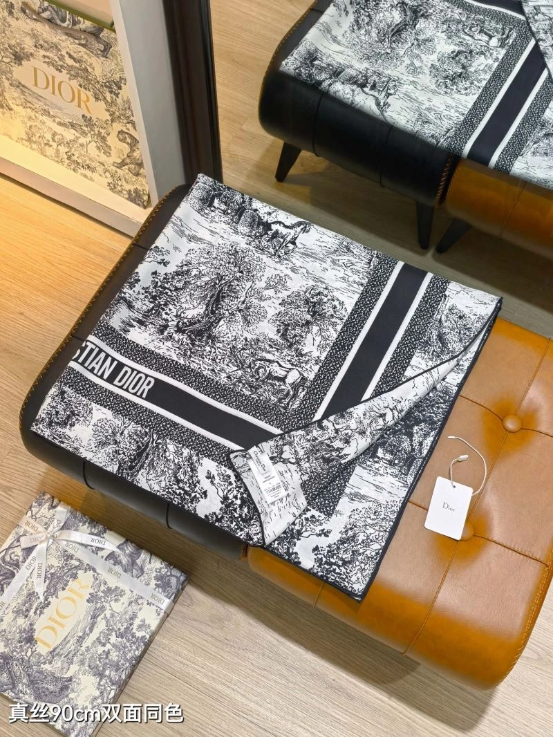 Christian Dior Scarf DailyWear 271104