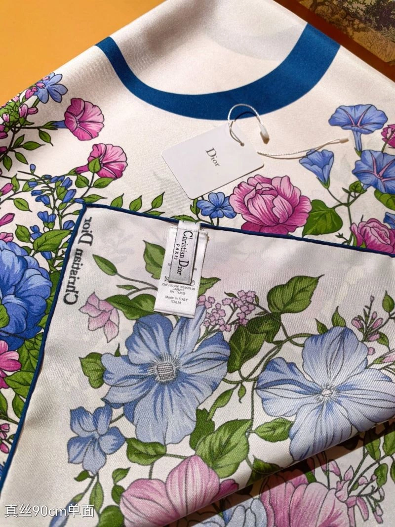 GoAnywhere Christian Dior Scarf 271097
