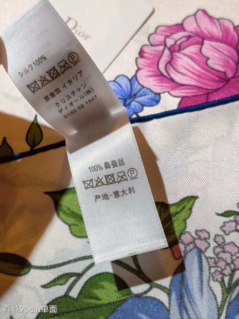GoAnywhere Christian Dior Scarf 271097