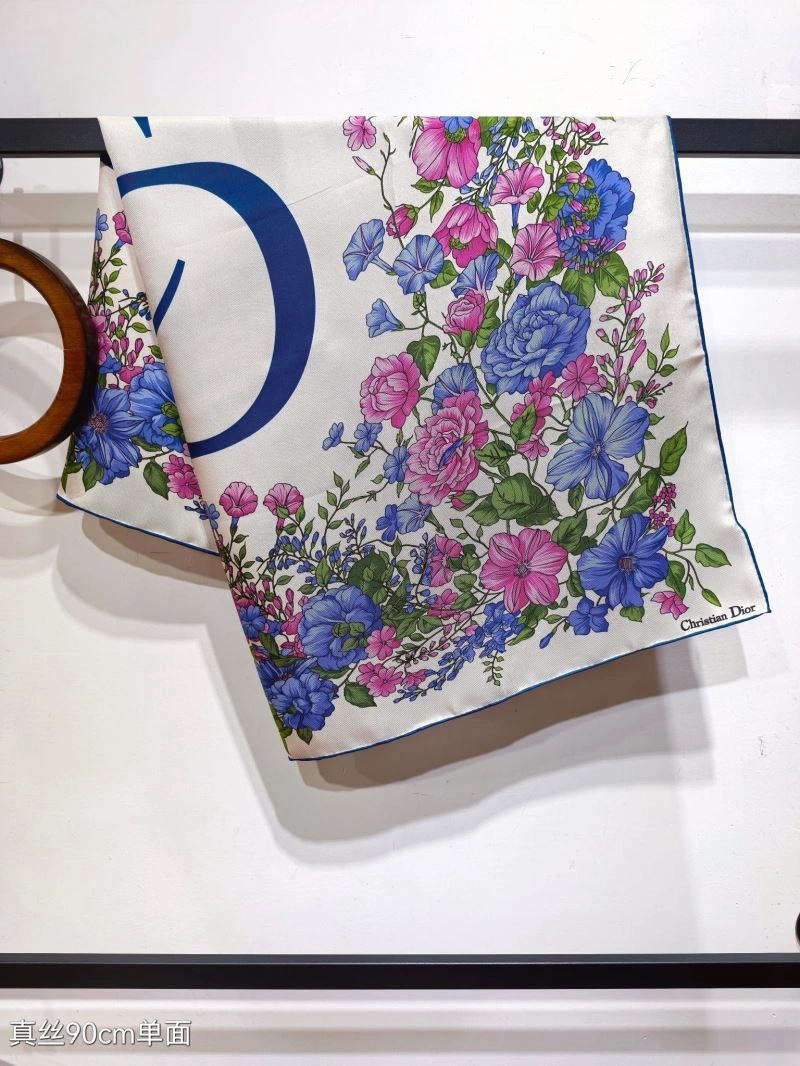 GoAnywhere Christian Dior Scarf 271097