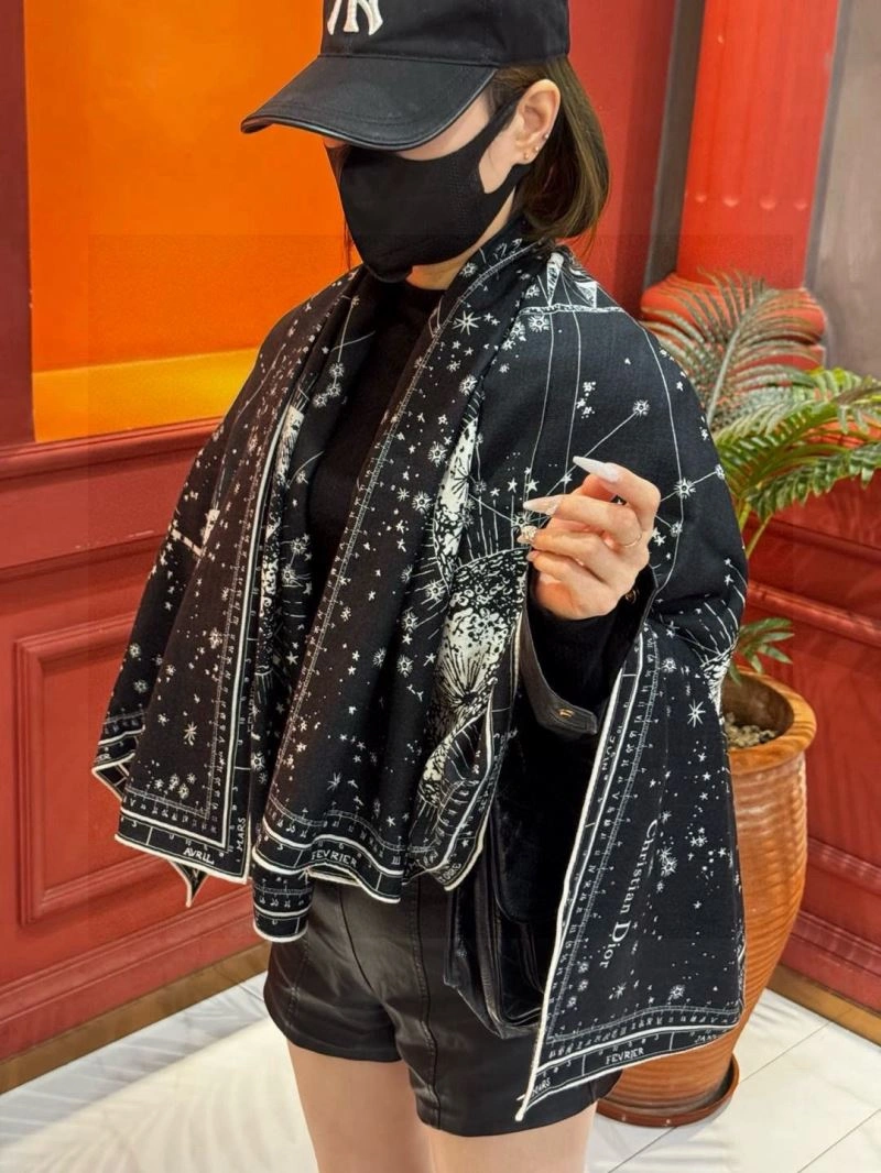 WellDesigned Christian Dior Scarf 271106