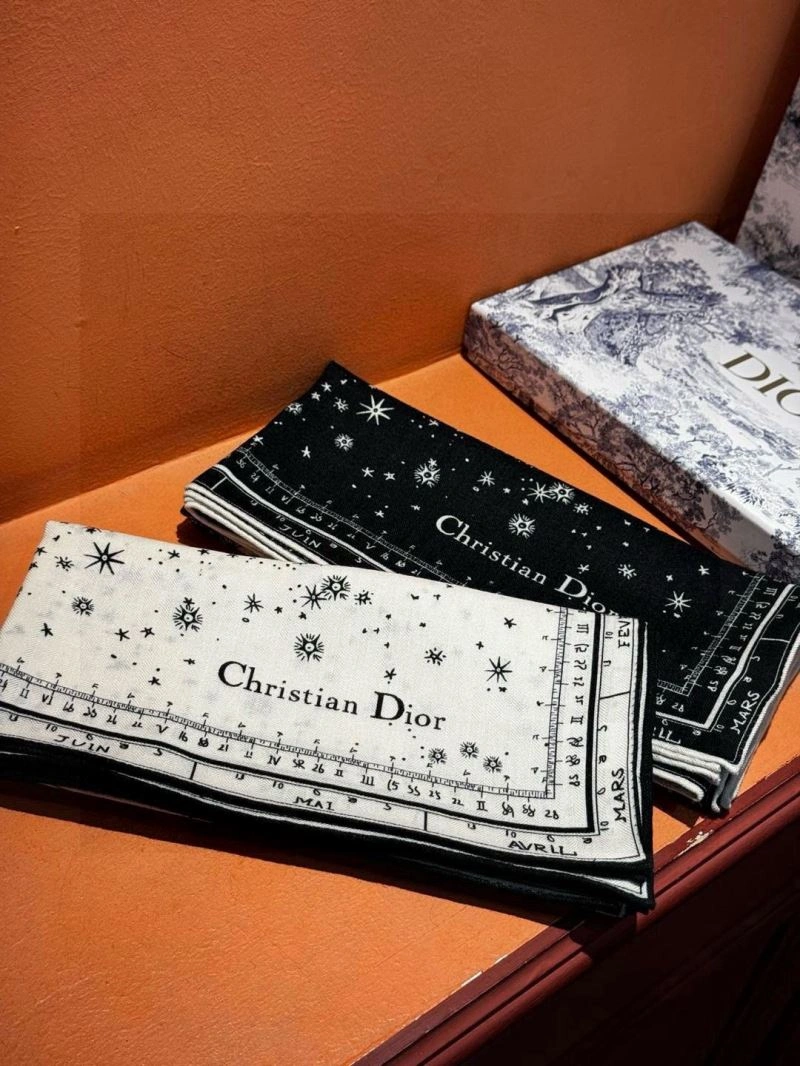 WellDesigned Christian Dior Scarf 271106