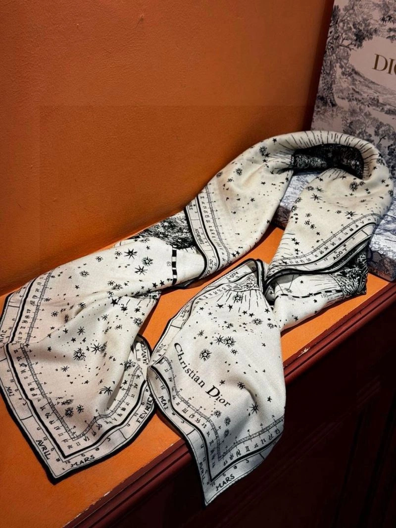 SmartChoice Christian Dior Scarf 271105