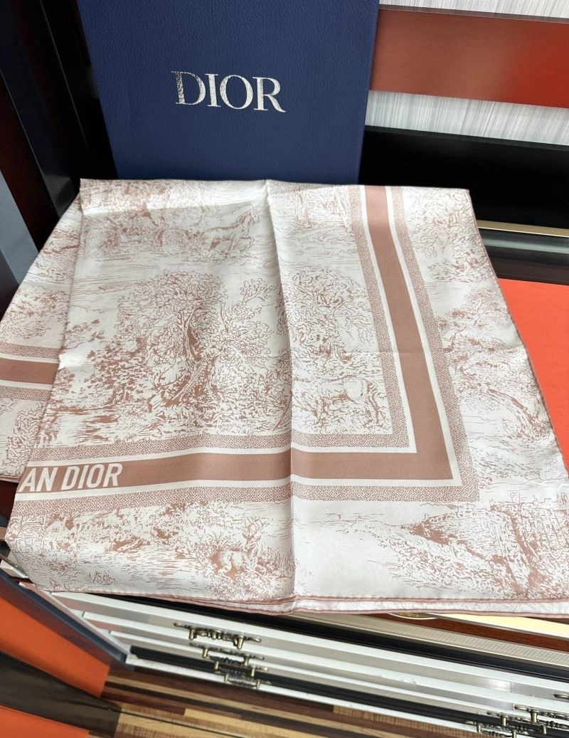 Christian Dior Scarf Snug 271874