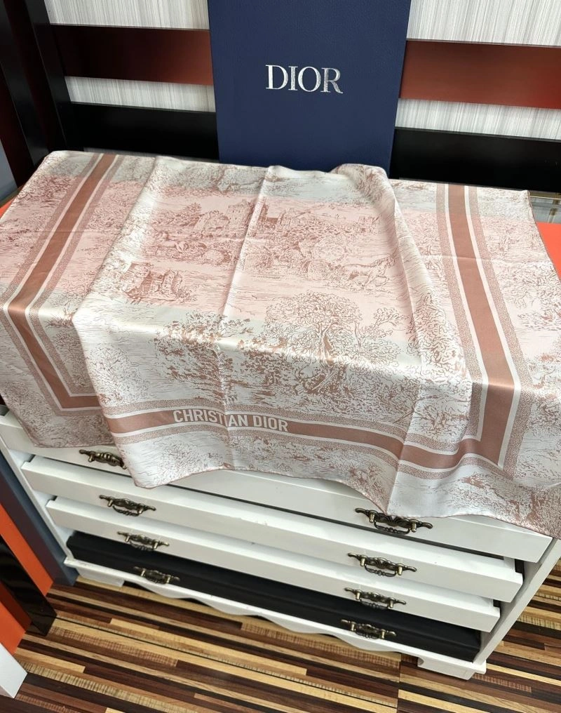 Christian Dior Scarf Snug 271874