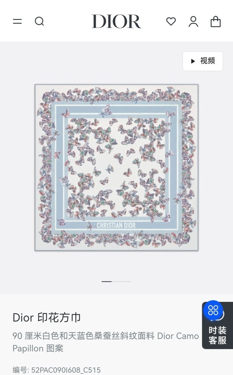 Christian Dior Scarf WaterResistant 271863
