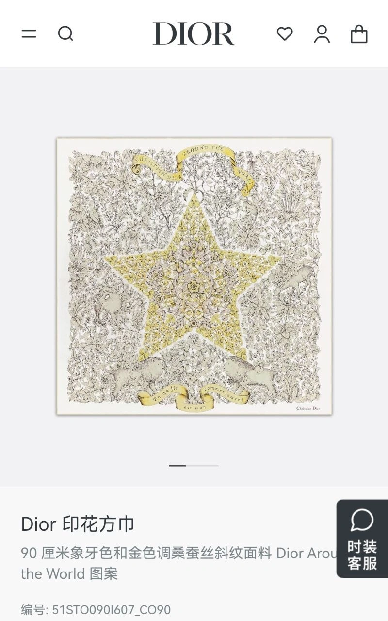 Christian Dior Scarf TechFriendly 271856