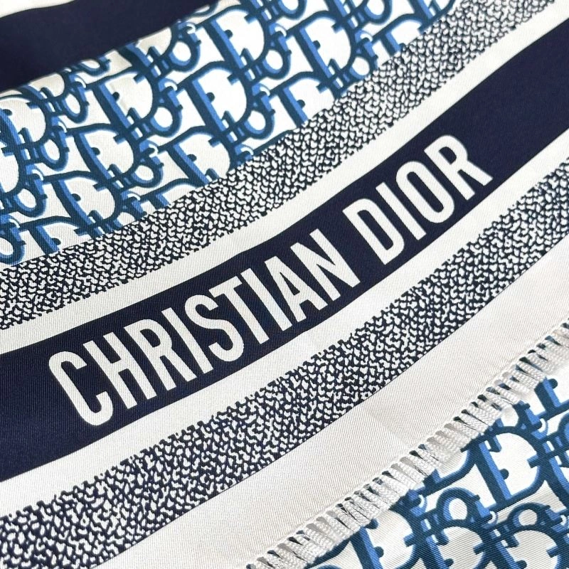 UrbanChic Christian Dior Scarf 271844