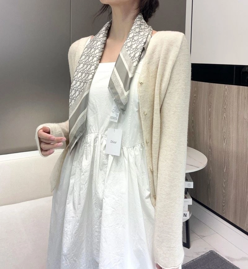 Christian Dior Scarf HighQuality 271846