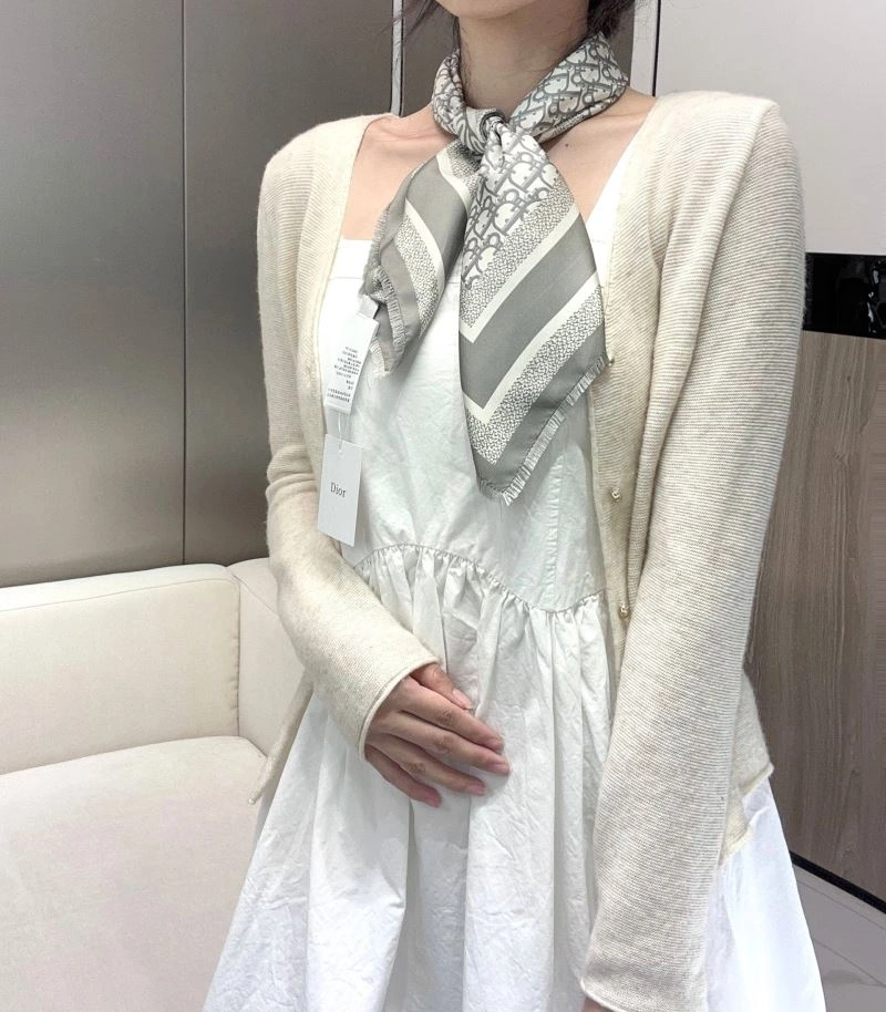 Christian Dior Scarf HighQuality 271846