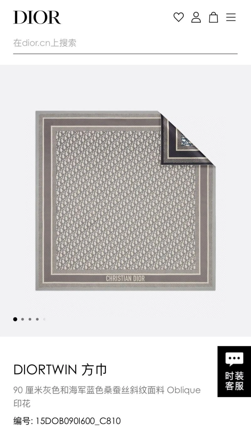 StreetReady Christian Dior Scarf 271843