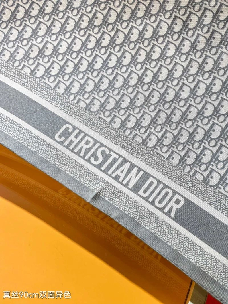 StreetReady Christian Dior Scarf 271843