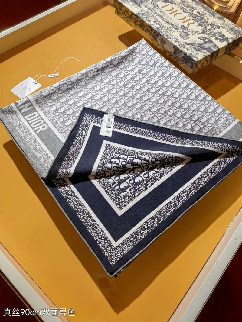 StreetReady Christian Dior Scarf 271843