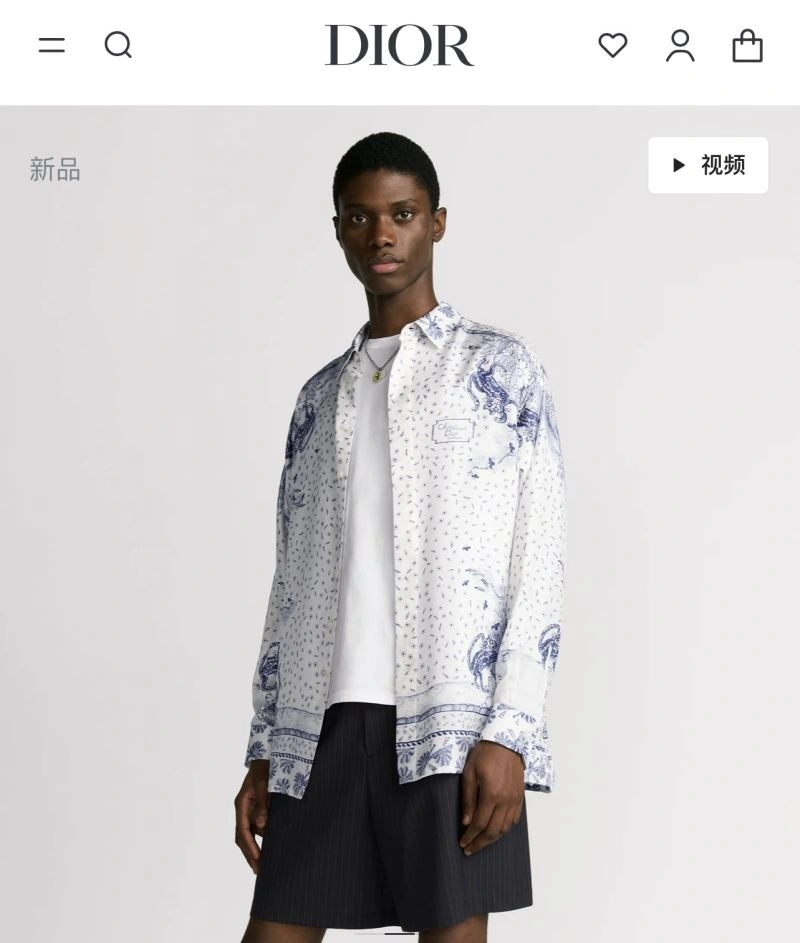 Popular Christian Dior Shirts 117505