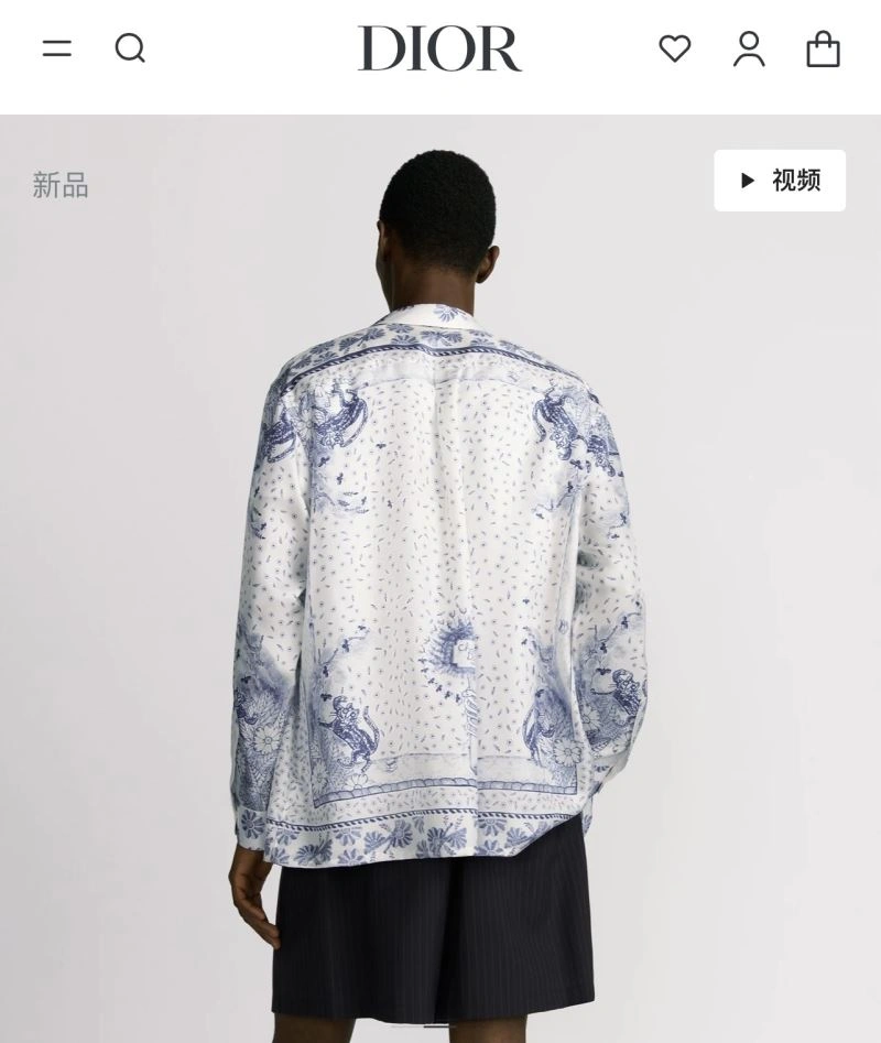 Popular Christian Dior Shirts 117505