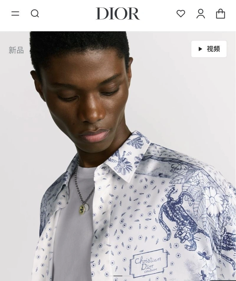Popular Christian Dior Shirts 117505