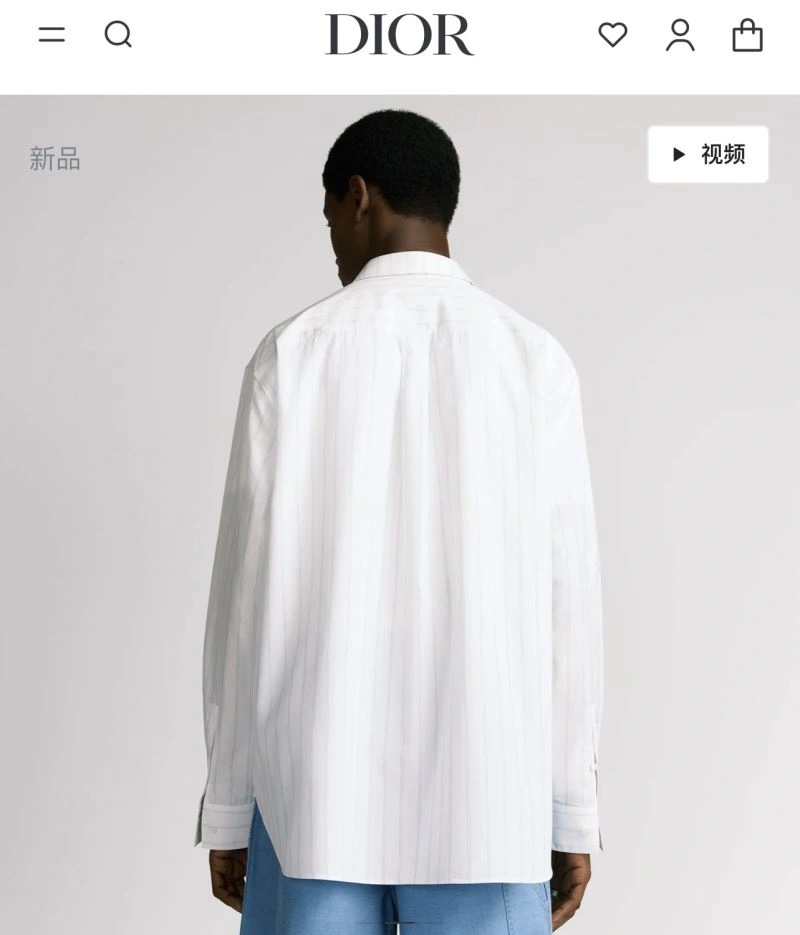 DailyWear Christian Dior Shirts 117504