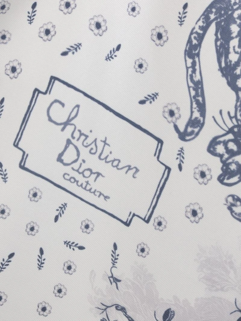 Christian Dior Shirts Resilient 117513