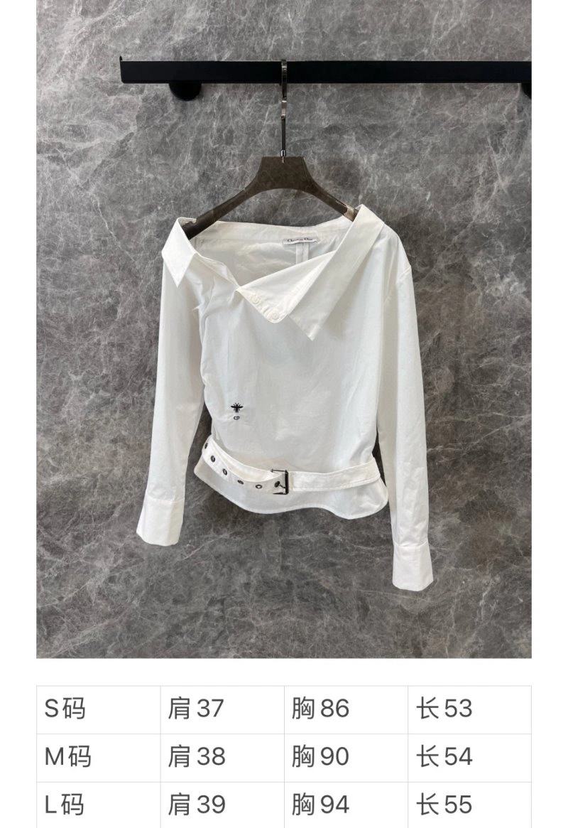 Practical Christian Dior Shirts 112887