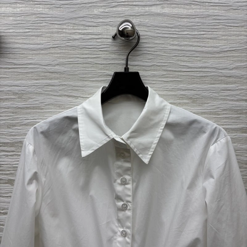 Resilient Christian Dior Shirts 112898