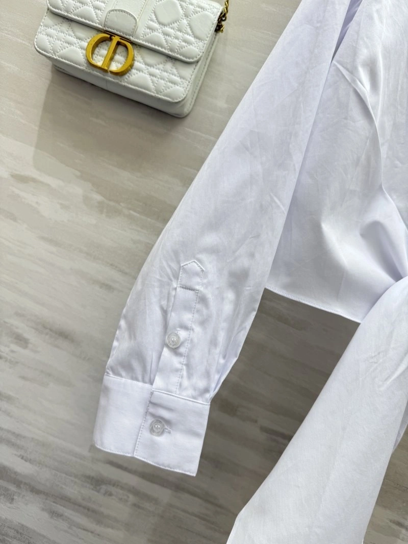 Christian Dior Shirts Upgraded 112088