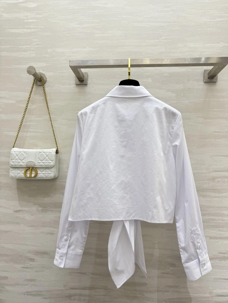 Christian Dior Shirts Upgraded 112088