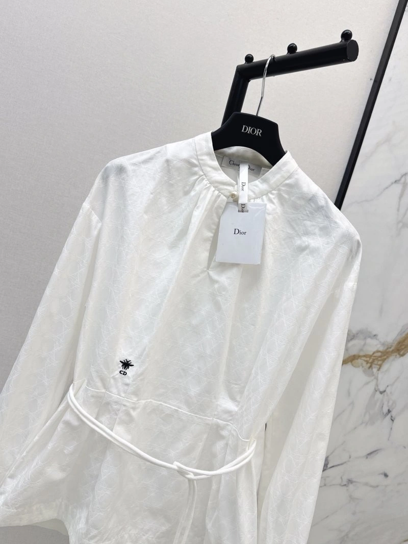 DailyWear Christian Dior Shirts 113747