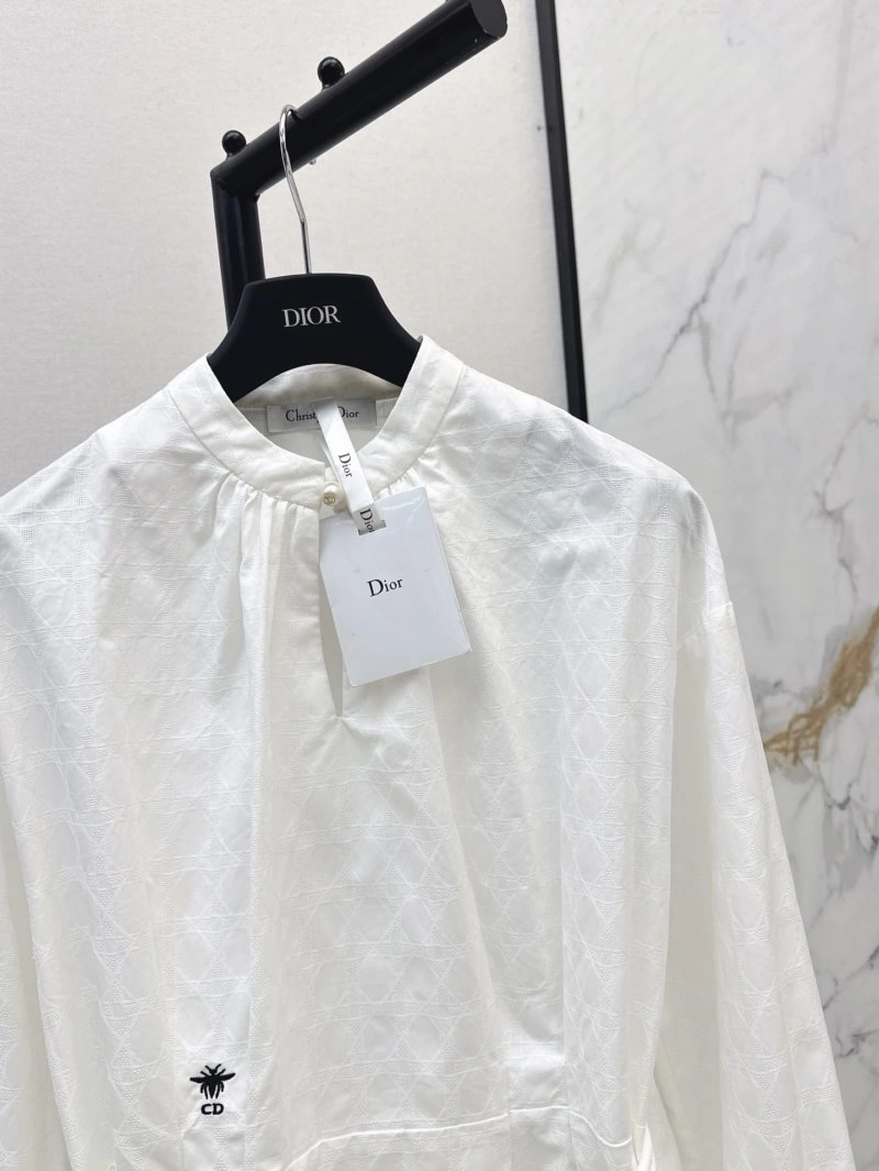 DailyWear Christian Dior Shirts 113747