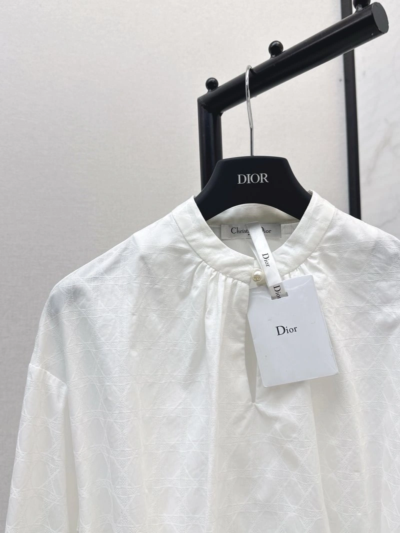 DailyWear Christian Dior Shirts 113747