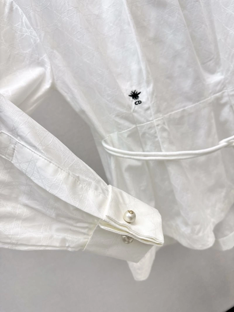 DailyWear Christian Dior Shirts 113747