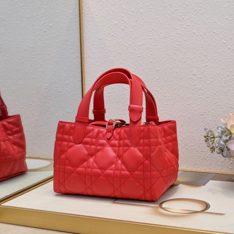 Christian Dior Shopping Bags Snug 87722