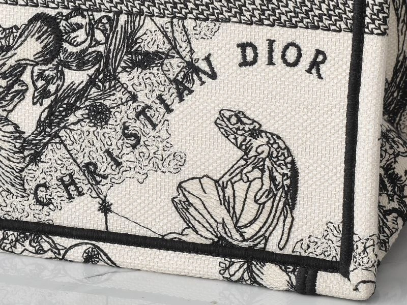 Neat Christian Dior Shopping Bags 87749
