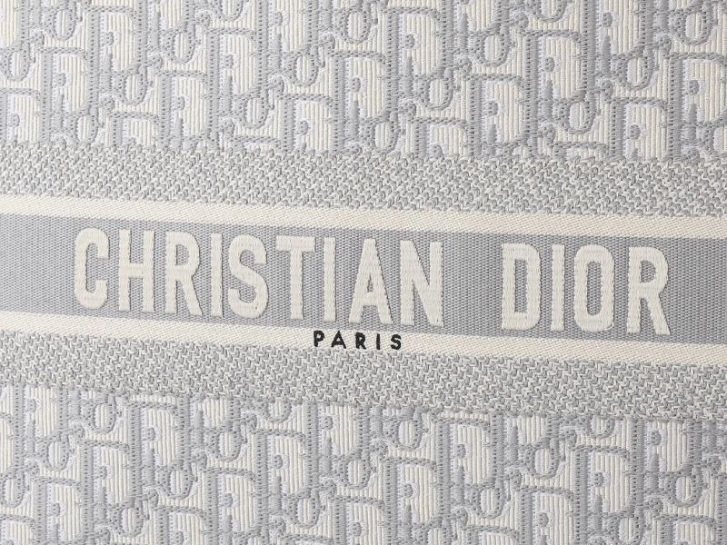 Trendsetting Christian Dior Shopping Bags 87696