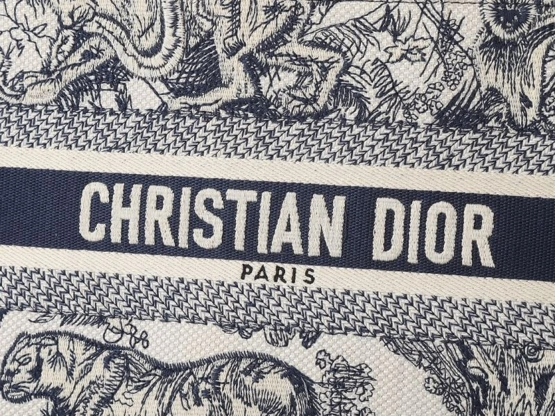 Christian Dior Shopping Bags Attractive 78984