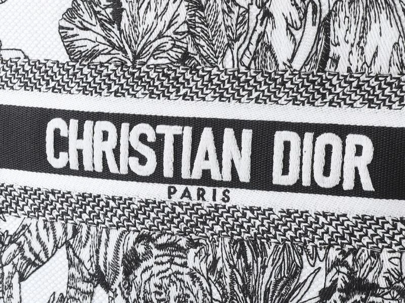 AllSeason Christian Dior Shopping Bags 87675